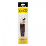 Galeria 5 S/H Brush Set