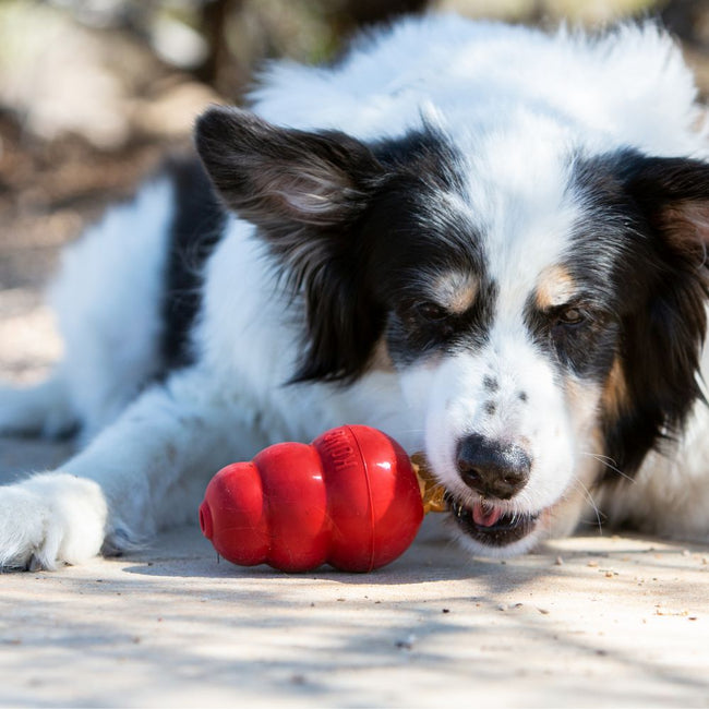 KONG Snacks™ Liver 198g