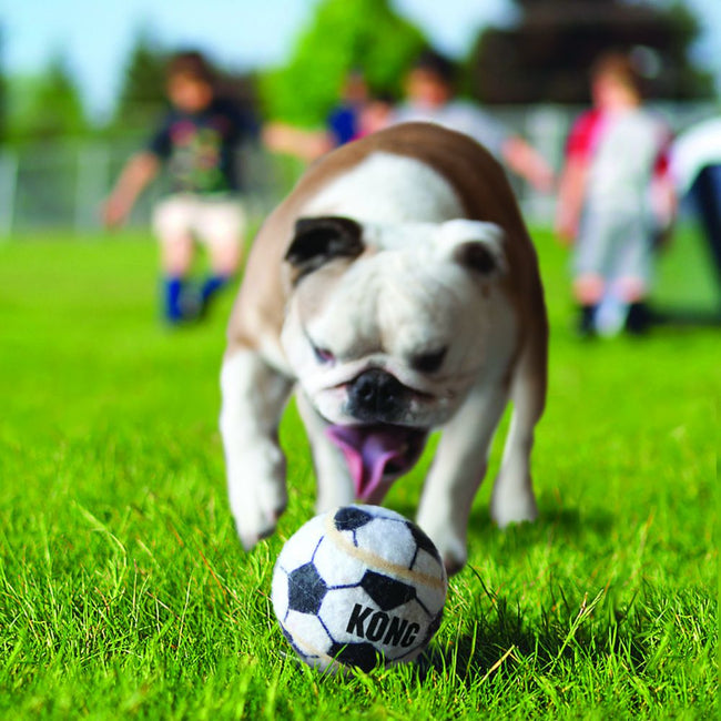 KONG Sport Balls Small