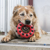 KONG Dotz™ Square Large