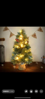 60CM LIGHT UP TREE