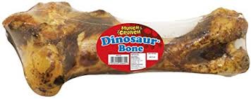Munch & Crunch Dinosaur Bone