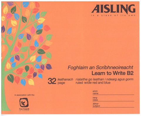 Aisling Learn to Write Copy B2 32 Page