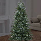 1000 Premier LED TreeBrights Christmas Tree Lights White