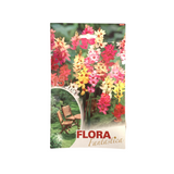 Flora Fantastica Ixia multi color Seed 15 per Pack
