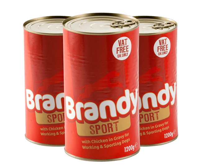 Brandy Sport