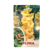 Flora Fantastica Gladiolus seeds 10pc
