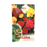 Flora Fantastica Begonia seeds 3pc