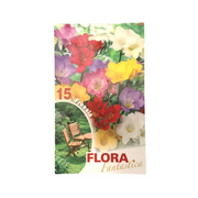 Flora Fantastica Freesia Seed 15 per Pack