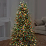 1000 Premier LED TreeBrights Christmas Tree Lights Multi Color