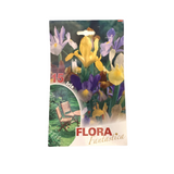 Flora Fantastica Iris Seed 15 per Pack