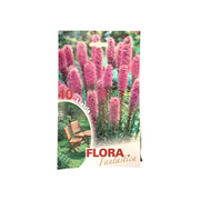 Flora Fantastica Liatris Seed 10 per Pack