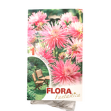 Flora Fantastica Dahlia seeds 1pc