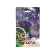 Flora Fantastica Triteleia Seed 15 per Pack