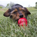 KONG Easy Treat™ Peanut Butter 236ml