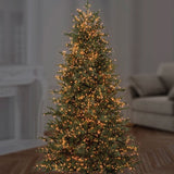 1000 Premier LED TreeBrights Christmas Tree Lights Vintage Gold