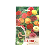 Flora Fantastica Ranunculus Seed 10 per Pack