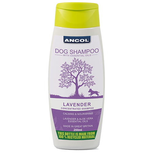 ANCOL Dog Shampoo Lavender 200ml